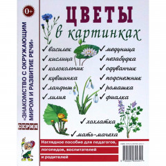 Цветы в картинках