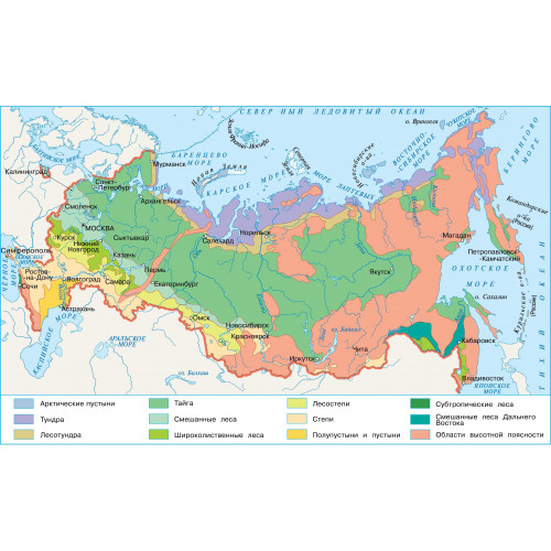 Карта учебная Природные зоны России 100х140