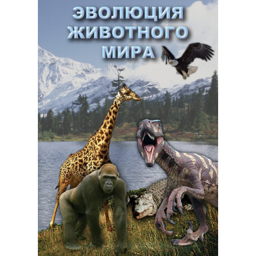 DVD Эволюция животного мира