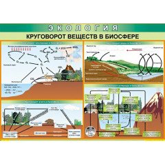 Плакат Круговорот веществ в биосфере 70x100