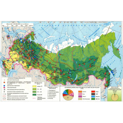 Карта учебная "Лесная промышленность России" 100х140