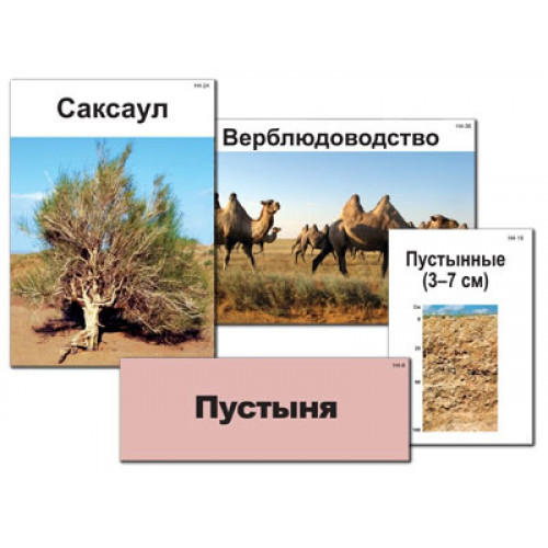 Модель-аппликация "Природные зоны России" (ламинированная)