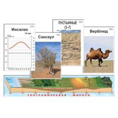 Модель-аппликация "Природные зоны" (ламинированная)