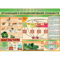 Плакат Организация и функционирование сообществ 70x100