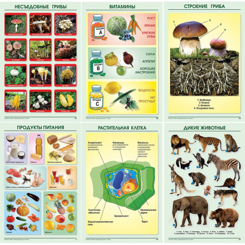 Комплект таблиц Окружающий мир 3 кл. 15 шт. новая редакция