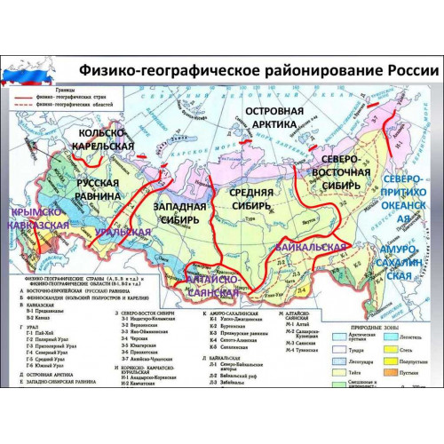 Карта учебная Физико-географическое районирование территории России 100х140