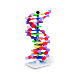 Модель мини-ДНК 12 слоев AMDNA-060-12