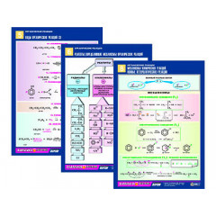 Комплект таблиц по химии раздат. "Органические реакции" (цвет., лам., А4, 10шт.)