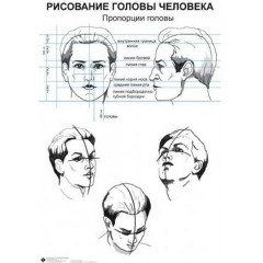 Комплект таблиц ИЗО 10 шт.