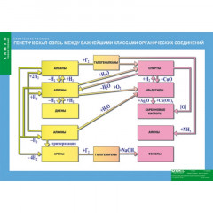 Плакат Генетическая связь между важнейшими классами органических соединений (винил)
