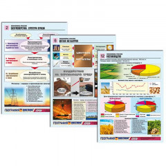 Комплект таблиц по географии раздат. "Экономика России" (цвет., лам., А4, 16 шт.)