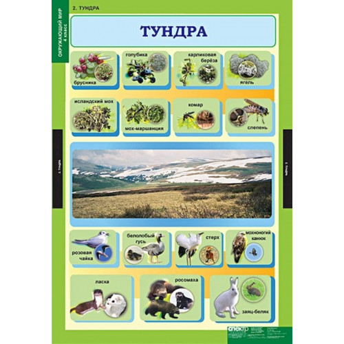 Комплект таблиц Окружающий мир 4 кл. 15 шт. новая редакция