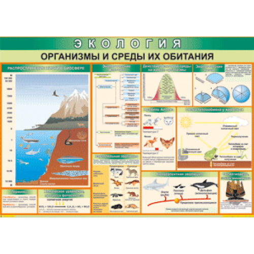 Плакат Организмы и среды их обитания 70x100