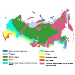 Комплект таблиц "Природные зоны России, сообщества." 18 шт. 50х70