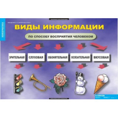 Таблицы демонстрационные "Введение в информатику"