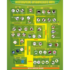Стенд "Многообразие органического мира"