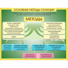 Стенд "Методы селекции и биотехнологии"