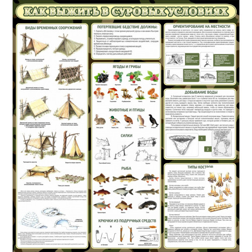 Стенд Как выжить в суровых условиях