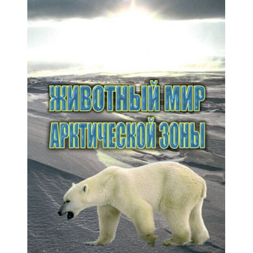 DVD Животный мир Арктической зоны