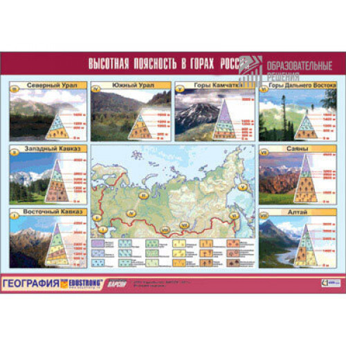 Таблица демонстрационная Высотная поясность в горах России (винил 100x140)